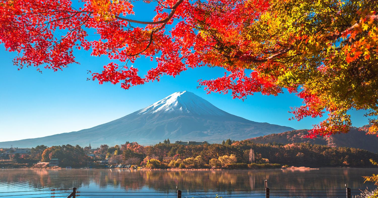 Taking off for Tokyo: American Airlines welcomes tentative approval to start nonstop service from New York